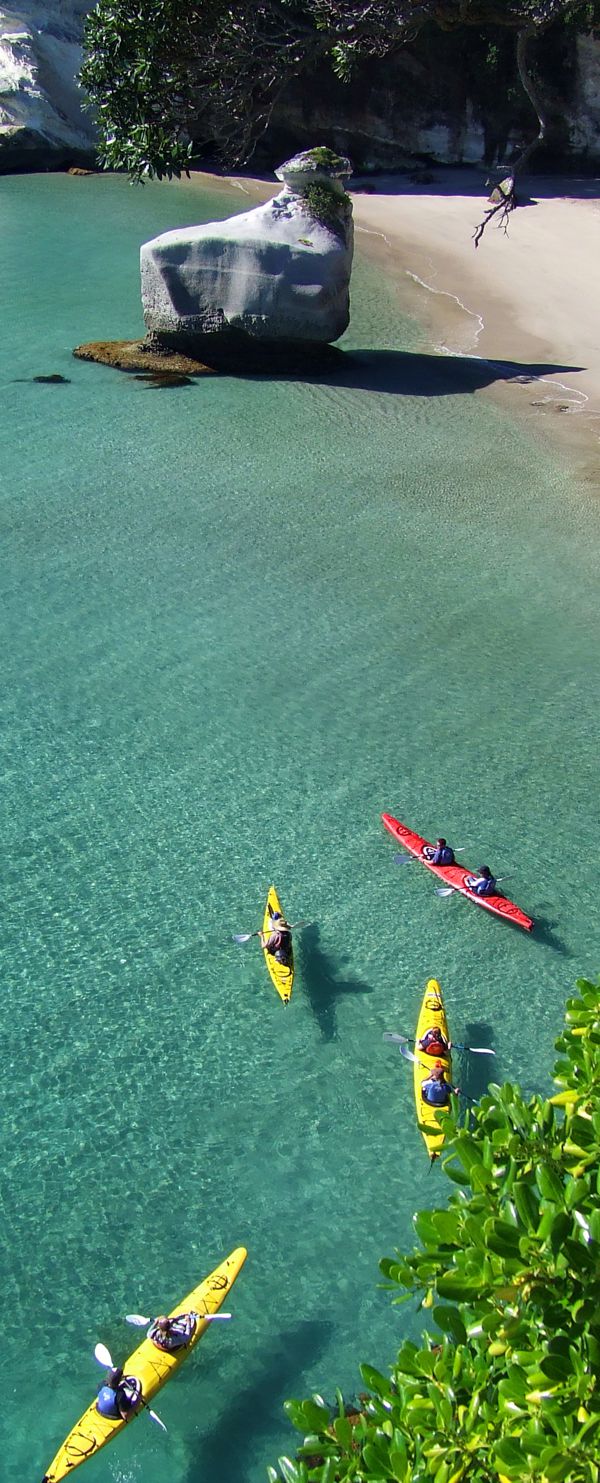 cck-cathedral-cove Cathedral Cove Kayak Tours Hahei NZ